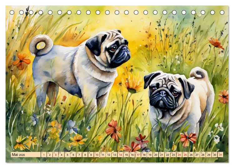 Produktbild: Knuffige M&ouml;pse (Tischkalender 2026 DIN A5 quer), CALVENDO Monatskalender