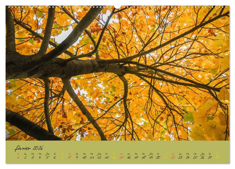Produktbild: Un automne au Bois (Calendrier mural 2026 DIN A2 vertical) calendrier de bureau