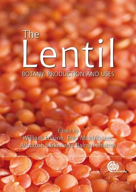 Produktbild: Lentil