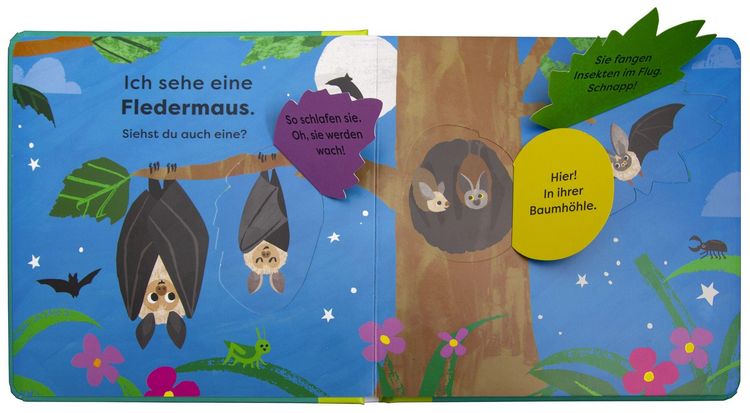 Produktbild: Mein erstes Natur-Entdeckerbuch. Da! Ein Igel