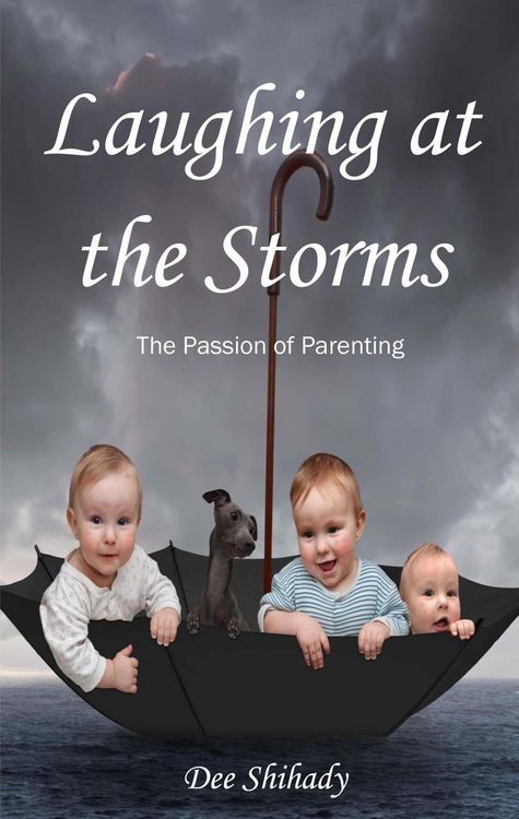 Produktbild: Laughing at the Storms