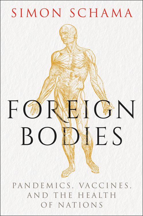 Produktbild: Foreign Bodies
