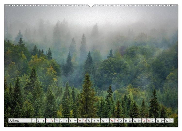 Produktbild: G&ouml;ttererwachen. Die Natur im mystischen Nebel (Wandkalender 2026 DIN A2 quer), CALVENDO Monatskalender