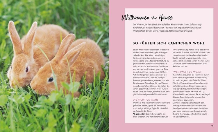 Produktbild: Kaninchen im Au&szlig;engehege