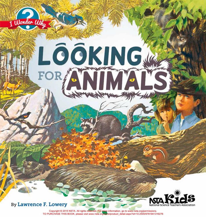 Produktbild: Looking for Animals