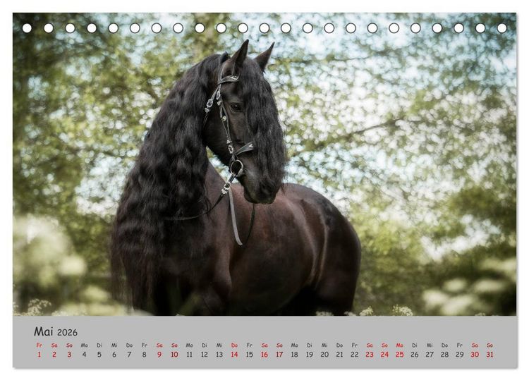 Produktbild: Spiegel deiner Seele (Tischkalender 2026 DIN A5 quer), CALVENDO Monatskalender