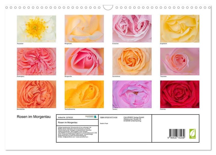 Produktbild: Rosen im Morgentau (Wandkalender 2026 DIN A3 quer), CALVENDO Monatskalender