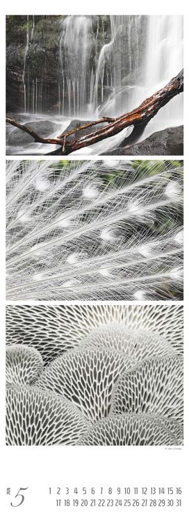 Produktbild: Colours of Nature - Triplets 2026 - Streifenkalender XXL 25x69 cm - Bildkalender im Hochformat - Naturkalender - Wandkalender - Wandplaner
