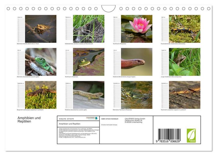 Produktbild: Amphibien und Reptilien (Wandkalender 2026 DIN A4 quer), CALVENDO Monatskalender