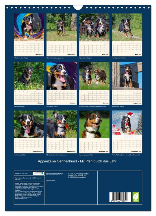 Produktbild: Appenzeller Sennenhund - Mit Plan durch das Jahr (Wandkalender 2026 DIN A3 hoch), CALVENDO Monatskalender