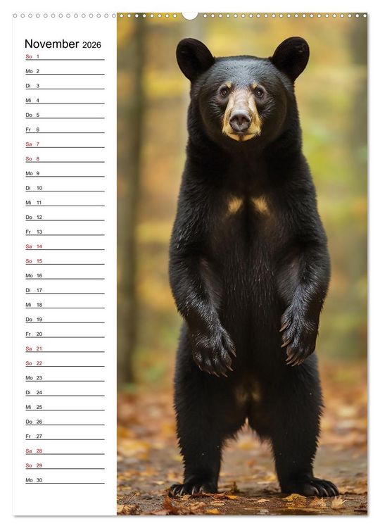 Produktbild: Ganz von vorn (Wandkalender 2026 DIN A2 hoch), CALVENDO Monatskalender