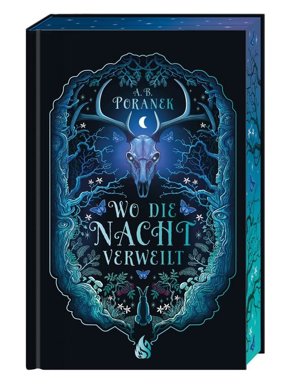 Produktbild: Wo die Nacht verweilt
