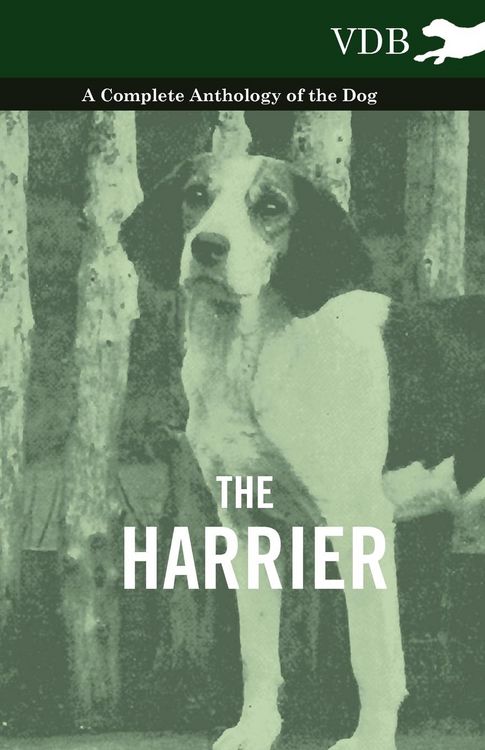 Produktbild: The Harrier - A Complete Anthology of the Dog