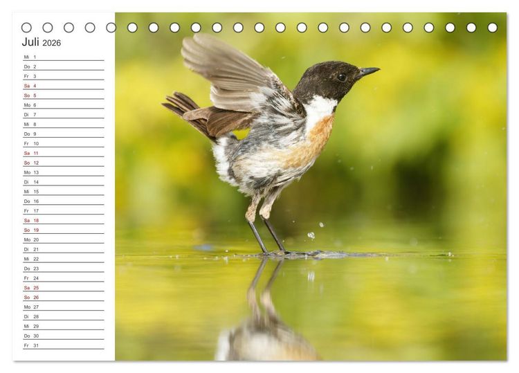 Produktbild: Faszinierendes Bulgarien (Tischkalender 2026 DIN A5 quer), CALVENDO Monatskalender