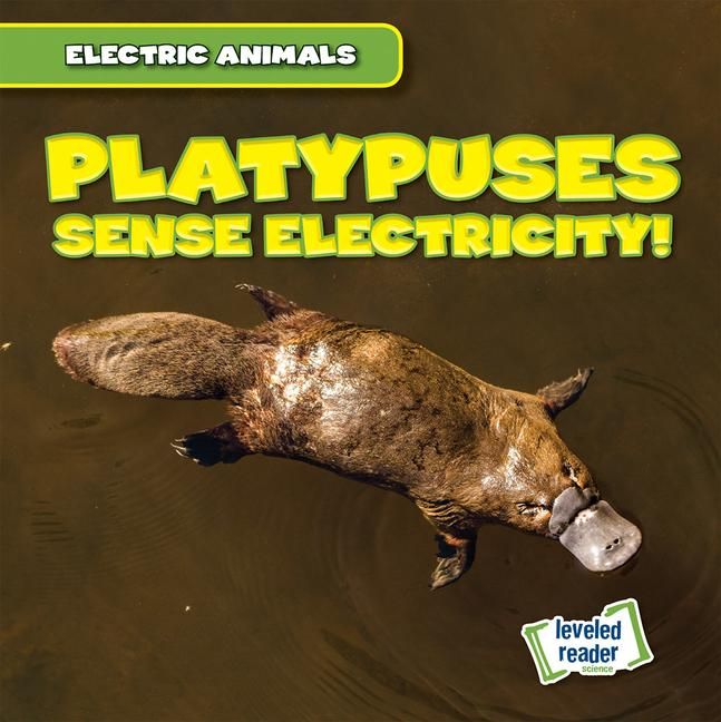 Produktbild: Mallory, L: Platypuses Sense Electricity!