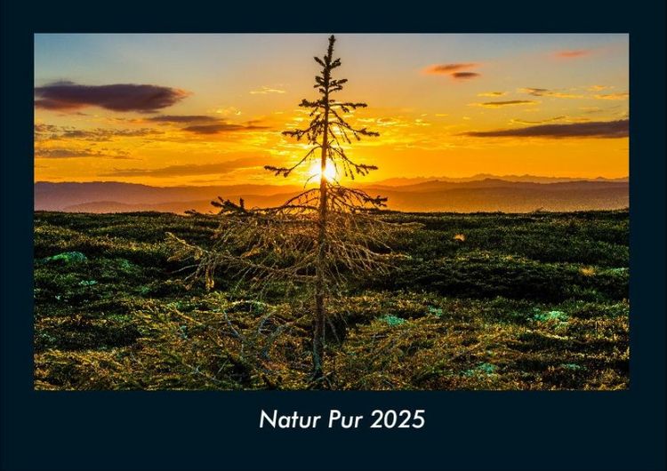 Produktbild: Natur Pur 2025 Fotokalender DIN A4