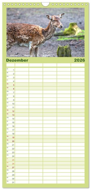 Produktbild: Familienplaner 2026 - Heimische Tiere - Rehe mit 5 Spalten (Wandkalender, 21 x 45 cm) CALVENDO