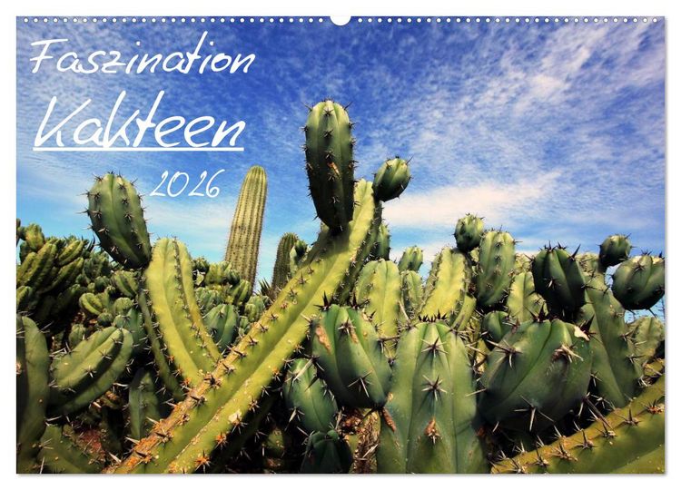 Produktbild: Faszination Kakteen (Wandkalender 2026 DIN A2 quer), CALVENDO Monatskalender