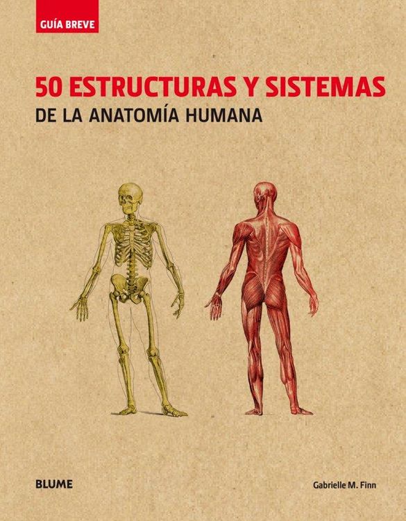 Produktbild: Gu&iacute;a breve : 50 estructuras y sistemas de la anatom&iacute;a humana