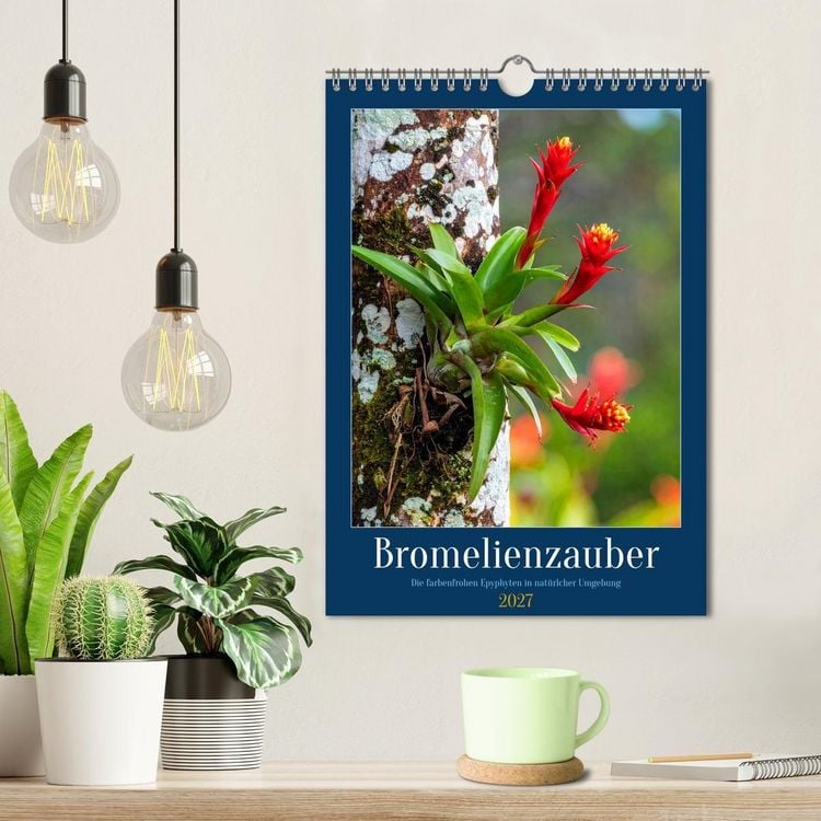 Produktbild: Bromelienzauber (Wandkalender 2027 DIN A4 hoch), CALVENDO Monatskalender