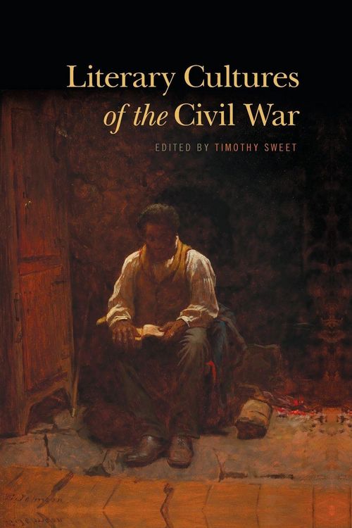 Produktbild: Literary Cultures of the Civil War