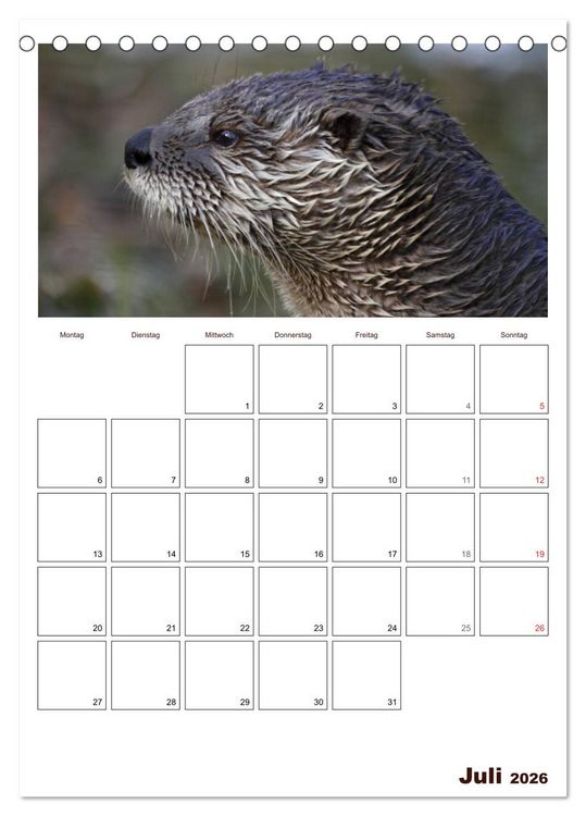 Produktbild: Der Fischotter-Terminplaner (Tischkalender 2026 DIN A5 hoch), CALVENDO Monatskalender