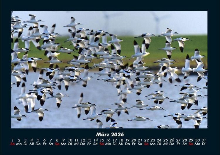 Produktbild: Die Seen der Erde 2026 Fotokalender DIN A4