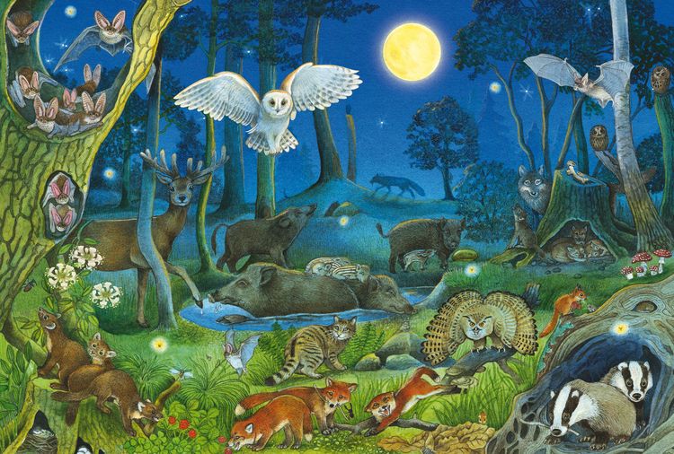Produktbild: Schmidt 56529 - Tiere nachts im Wald, Kinderpuzzle mit Poster, 100 Teile aus NATPAX&reg; Graspappe
