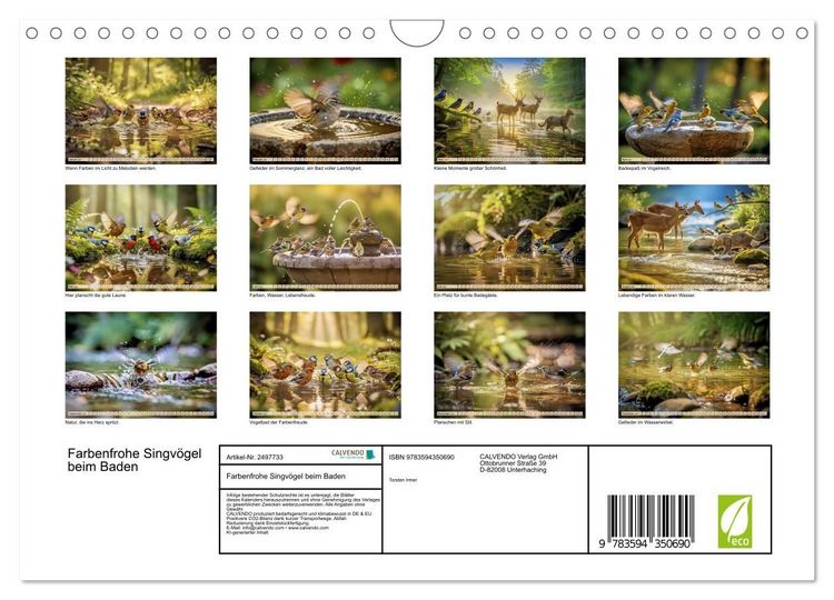 Produktbild: Farbenfrohe Singv&ouml;gel beim Baden (Wandkalender 2027 DIN A4 quer), CALVENDO Monatskalender