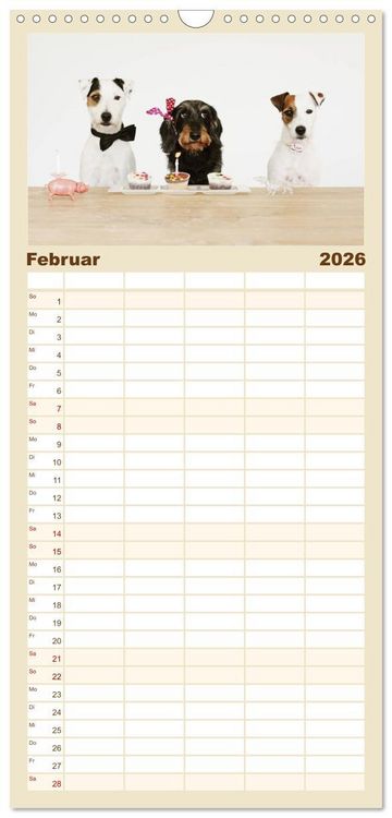 Produktbild: Familienplaner 2026 - Die Dackel daggeln.... mit 5 Spalten (Wandkalender, 21 x 45 cm) CALVENDO