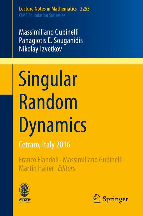 Produktbild: Singular Random Dynamics