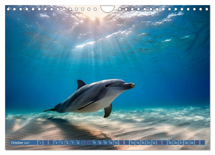 Produktbild: When Dolphins Dance with Us (Wall Calendar 2027 DIN A4 landscape), CALVENDO 12 Month Wall Calendar