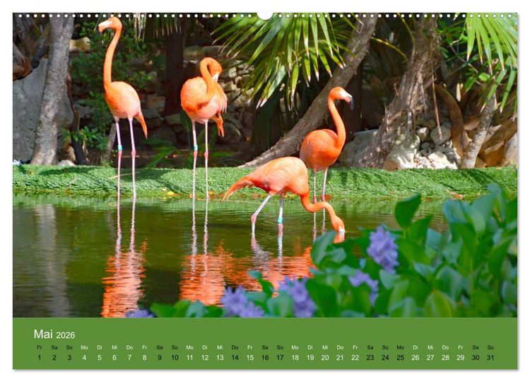 Produktbild: Mexiko - ein traumhaftes Paradies (hochwertiger Premium Wandkalender 2026 DIN A2 quer), Kunstdruck in Hochglanz