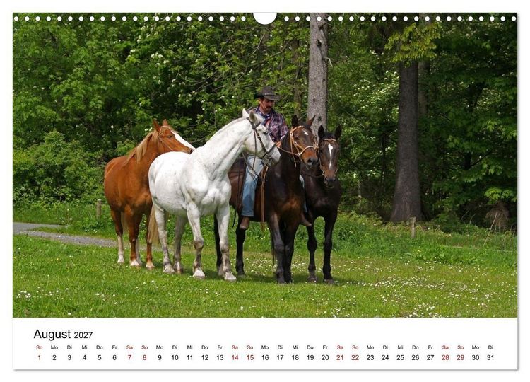 Produktbild: Getragen von Pferden, geformt vom Land - COWBOYS und Cowgirls (Wandkalender 2027 DIN A3 quer), CALVENDO Monatskalender