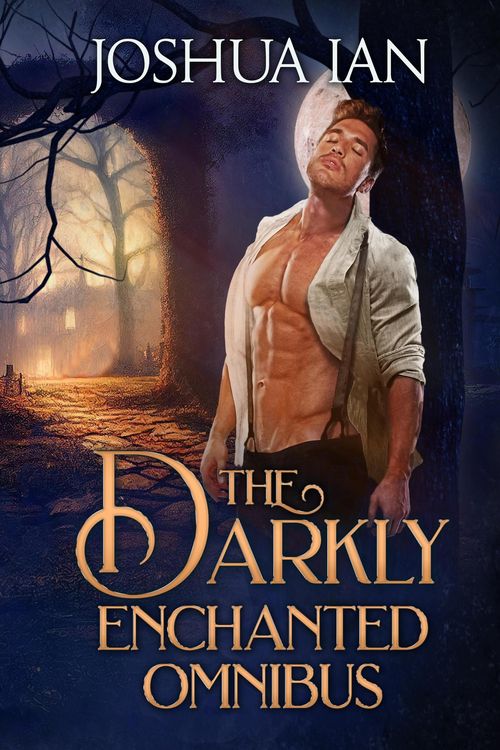 Produktbild: The Darkly Enchanted Omnibus: A Gothic Romance Collection, Volume 1 (Darkly Enchanted Romance, #3.5)