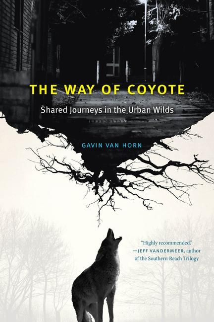 Produktbild: The Way of Coyote