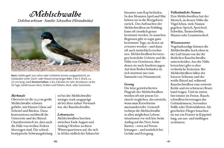 Produktbild: Das kleine Buch: Singv&ouml;gel