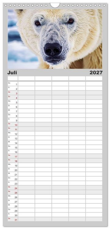 Produktbild: Familienplaner 2027 - Die Augen der Wildnis mit 5 Spalten (Wandkalender, 21 x 45 cm) CALVENDO