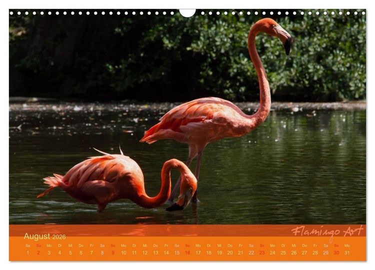 Produktbild: Flamingo Art 2026 (Wandkalender 2026 DIN A3 quer), CALVENDO Monatskalender
