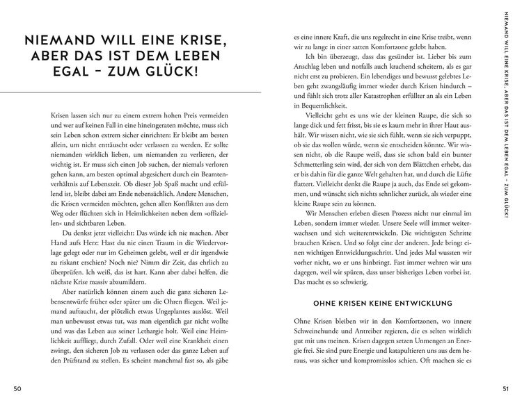 Produktbild: Wenn dir das Leben in den Arsch tritt, nutze den Schwung