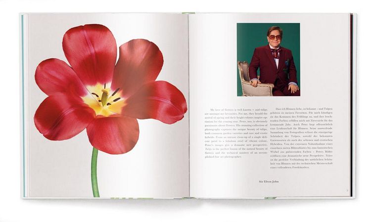 Produktbild: Tulpen