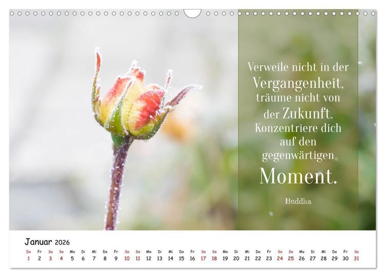 Produktbild: Lebensweisheiten, motivierende Spr&uuml;che und kluge Zitate mit Bildern der Natur (Wandkalender 2026 DIN A3 quer), CALVENDO Monatskalender