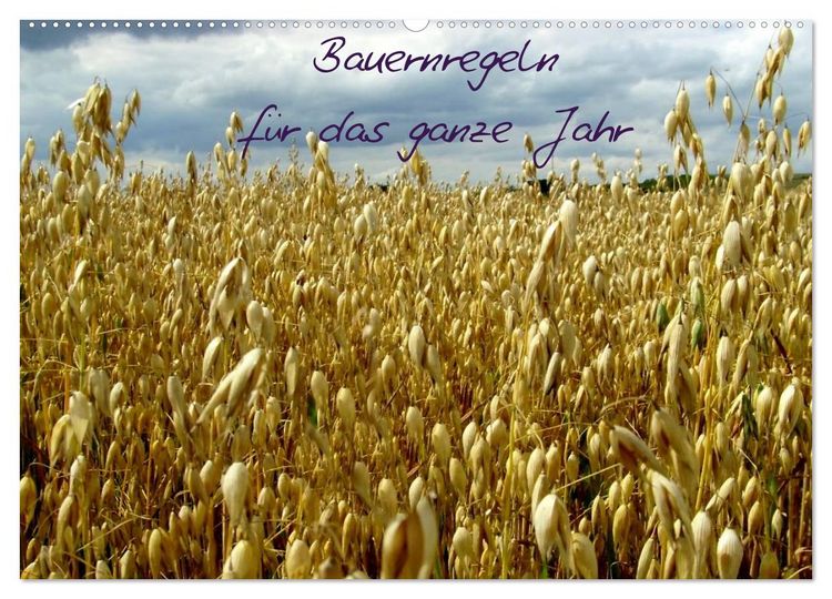 Produktbild: Bauernregeln f&uuml;r das ganze Jahr (Wandkalender 2026 DIN A2 quer), CALVENDO Monatskalender