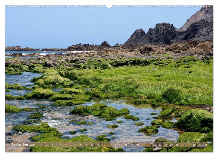 Produktbild: Costa Vicentina (Wandkalender 2026 DIN A2 quer), CALVENDO Monatskalender