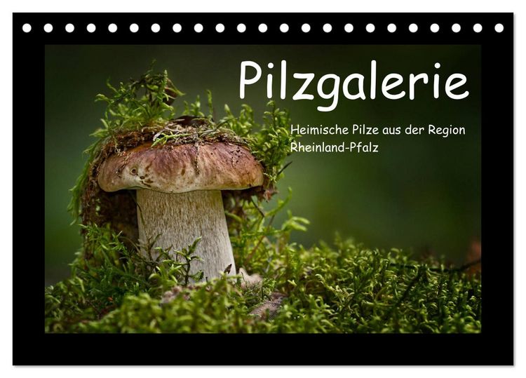 Produktbild: Pilzgalerie - Heimische Pilze aus der Region Rheinland-Pfalz (Tischkalender 2026 DIN A5 quer), CALVENDO Monatskalender