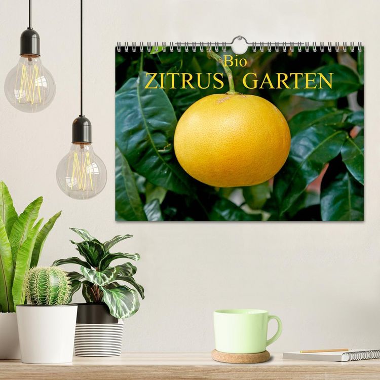 Produktbild: Bio Zitrus Garten (Wandkalender 2026 DIN A4 quer), CALVENDO Monatskalender