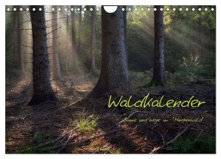Produktbild: Waldkalender (Wandkalender 2026 DIN A4 quer), CALVENDO Monatskalender