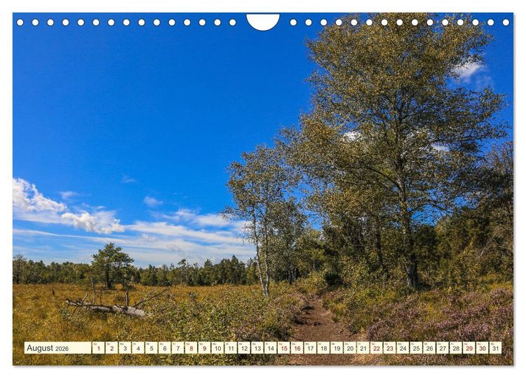 Produktbild: Moor und Riedlandschaften im S&uuml;dwesten (Wandkalender 2026 DIN A4 quer), CALVENDO Monatskalender