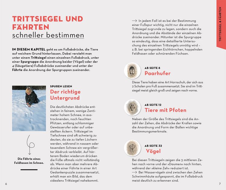 Produktbild: BASIC Tierspuren