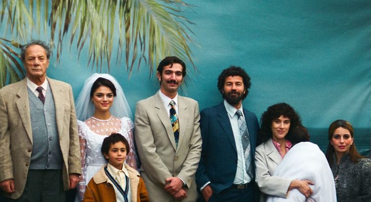 Produktbild: Im Schatten des Orangenbaums